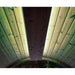 SaunaLife Emood Color Lighting for ERGO Sauna