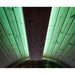SaunaLife Emood Color Lighting for ERGO Sauna