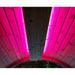 SaunaLife Emood Color Lighting for ERGO Sauna